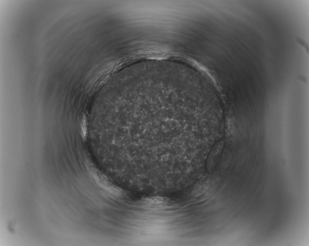 X0000102460069200809051319