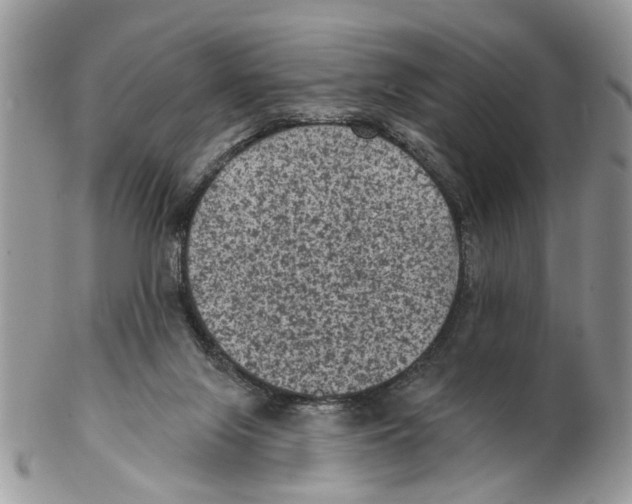 X0000102460071200809051319