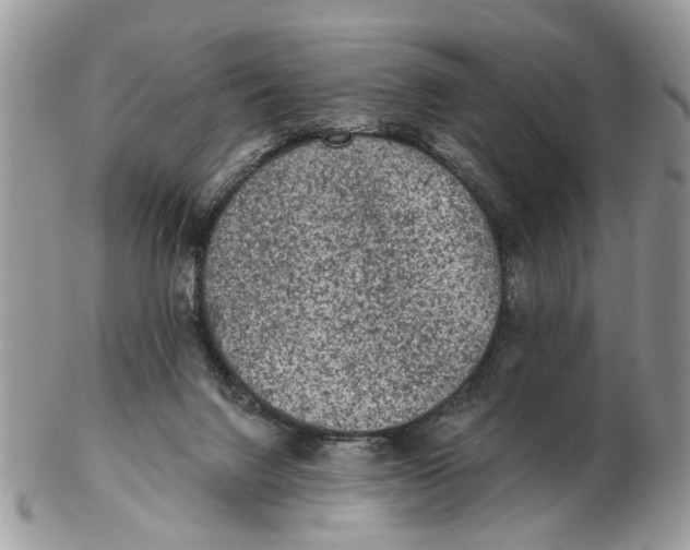 X0000102460072200809051319