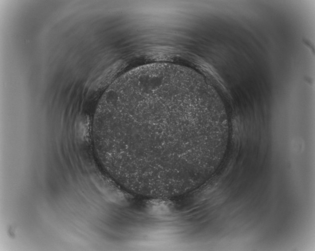 X0000102460073200809051319