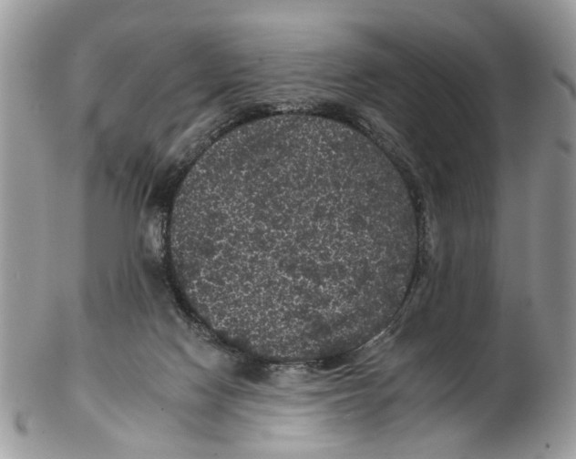 X0000102460074200809051319