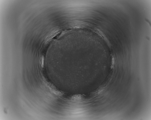 X0000102460076200809051319