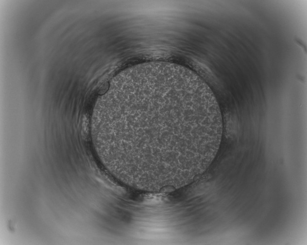 X0000102460077200809051319