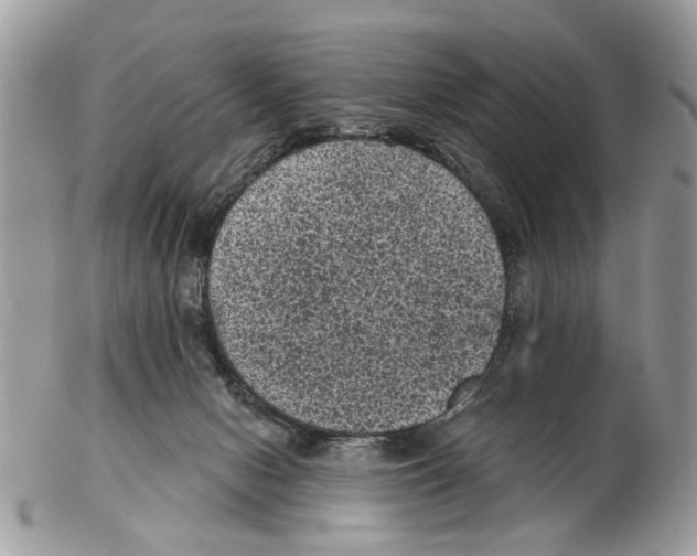 X0000102460078200809051319