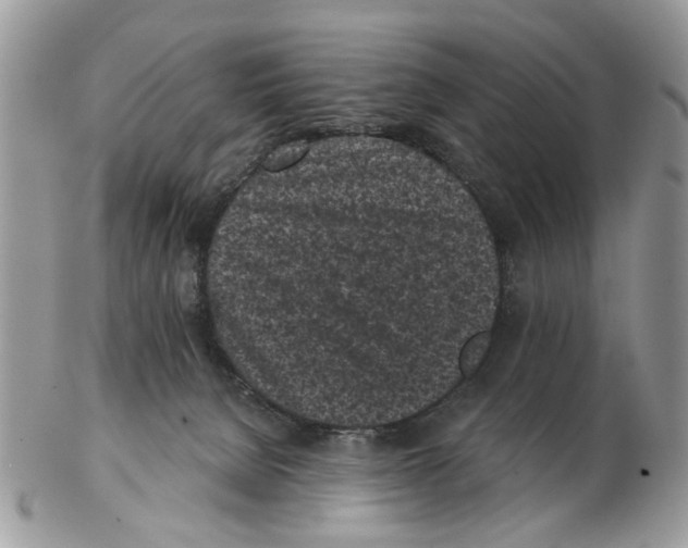 X0000102460080200809051319