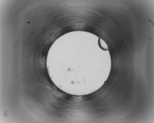 X0000102460083200809051319