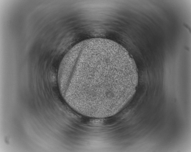 X0000102460084200809051319