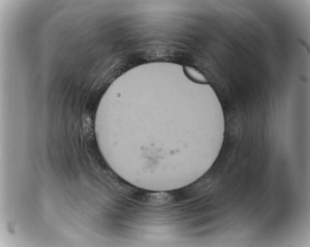 X0000102460087200809051319