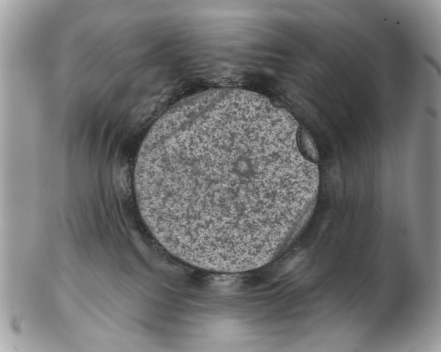 X0000102460088200809051319