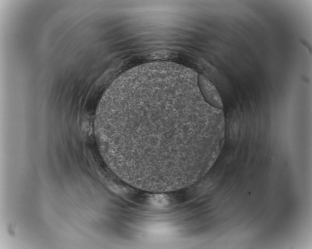 X0000102460091200809051319