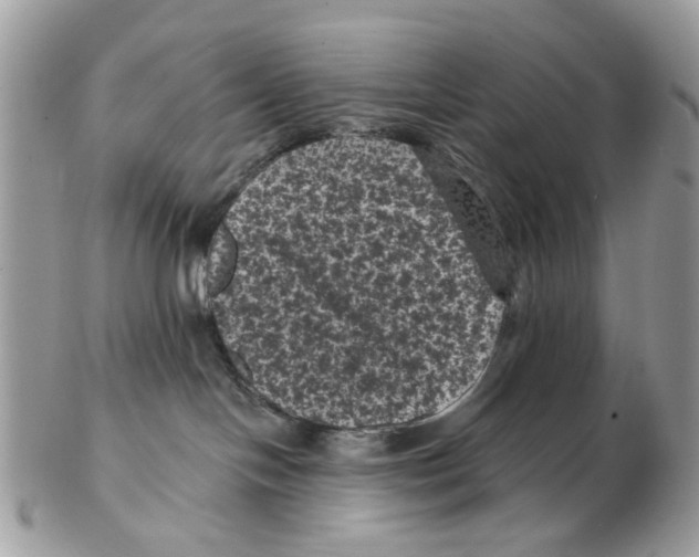 X0000102460094200809051319