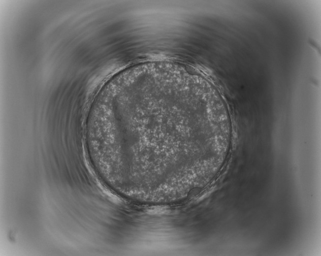 X0000102460097200809051319