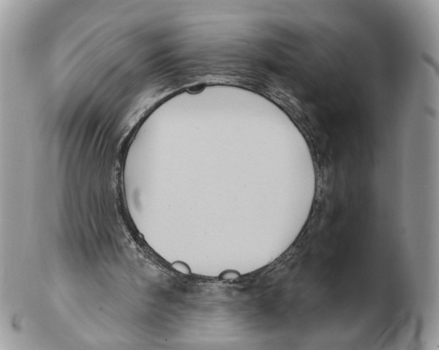X0000102460098200809051319