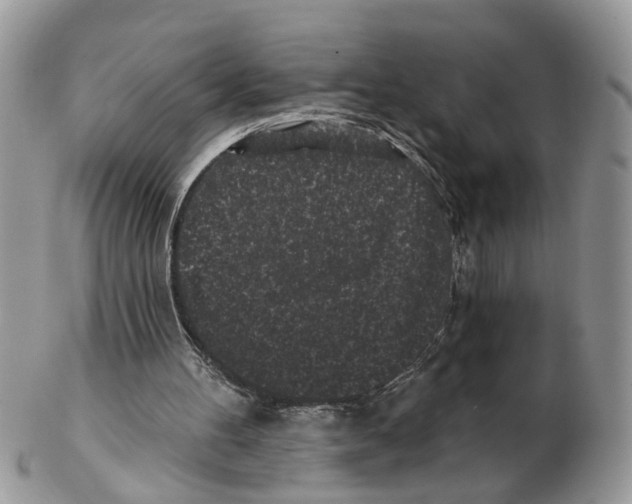 X0000102460100200809051319