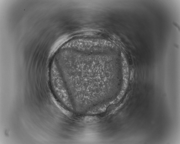X0000102460101200809051319