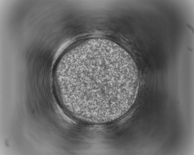 X0000102460102200809051319