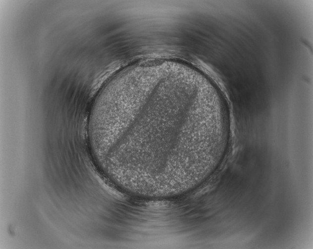 X0000102460105200809051319