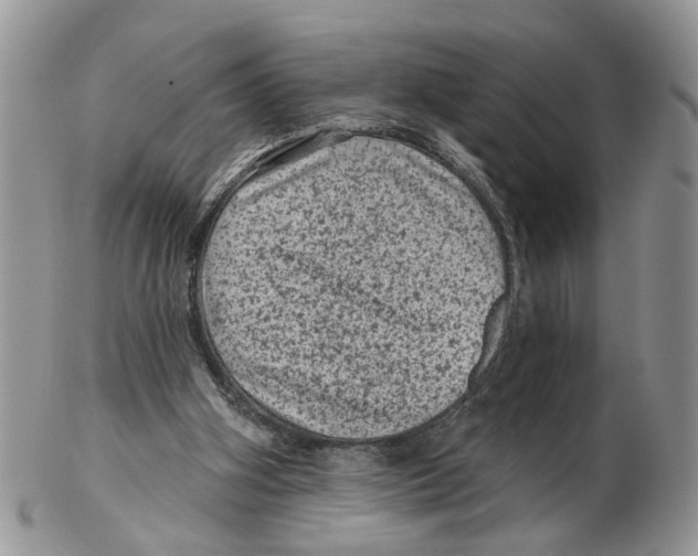 X0000102460106200809051319