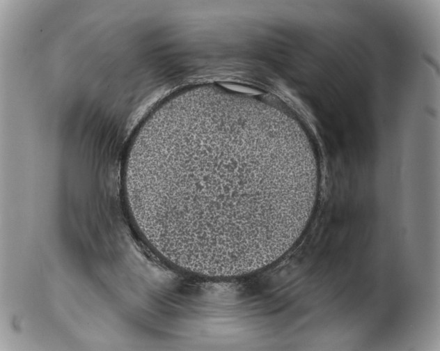 X0000102460107200809051318