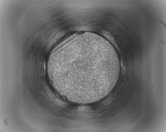 X0000102460109200809051318