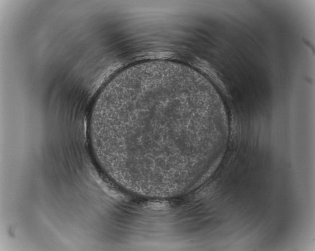 X0000102460110200809051318