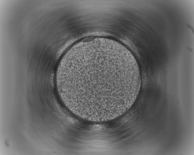 X0000102460111200809051318