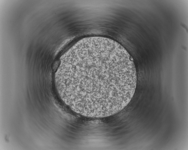 X0000102460112200809051318