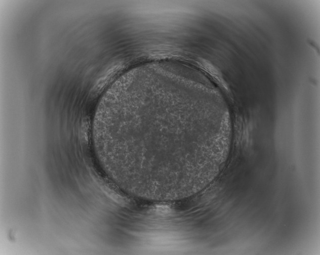 X0000102460114200809051318
