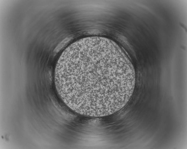 X0000102460116200809051318
