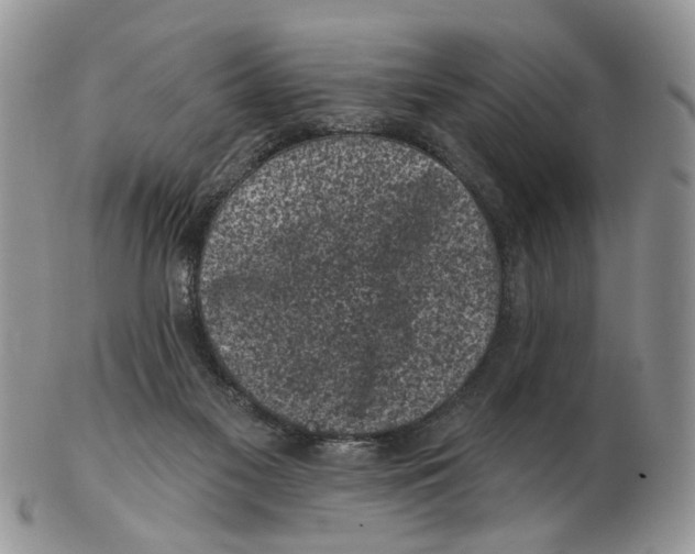 X0000102460117200809051318