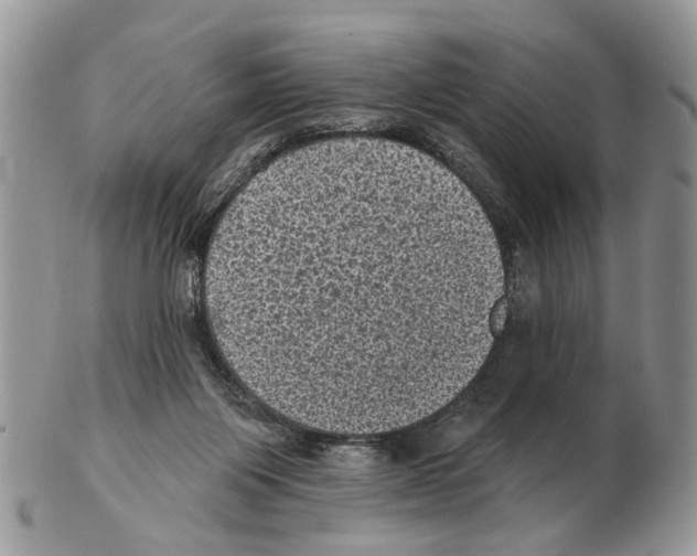 X0000102460119200809051318