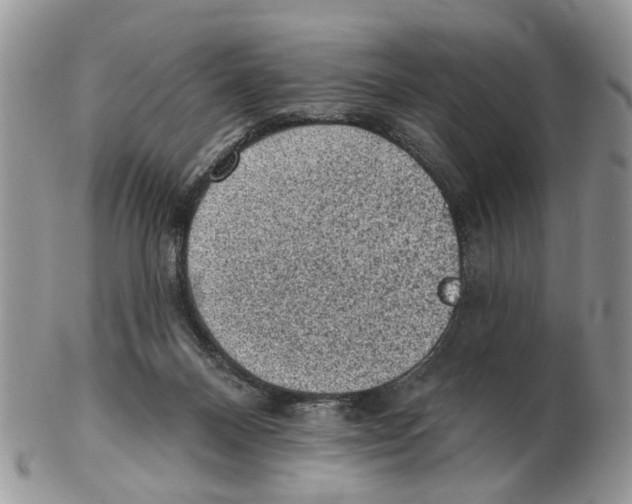 X0000102460120200809051318