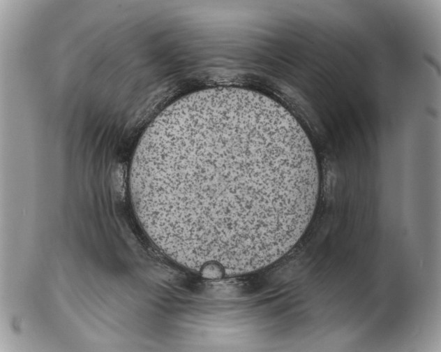 X0000102460121200809051318