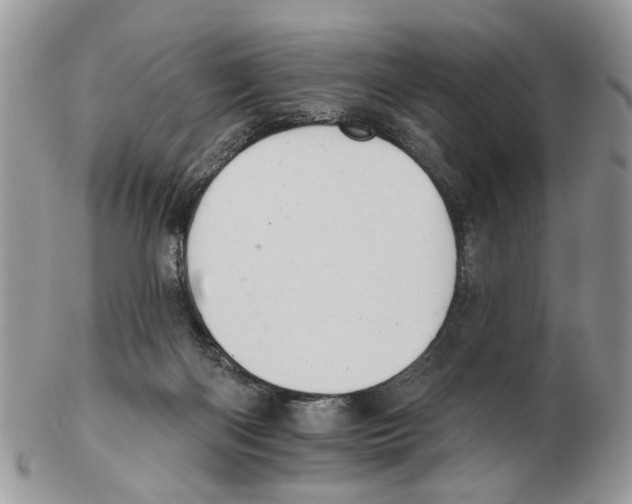 X0000102460122200809051318