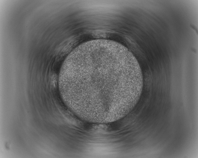 X0000102460125200809051318