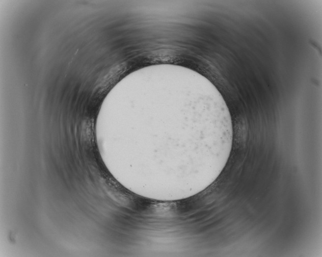 X0000102460126200809051318