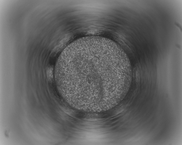 X0000102460127200809051318