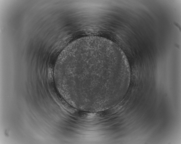 X0000102460130200809051318