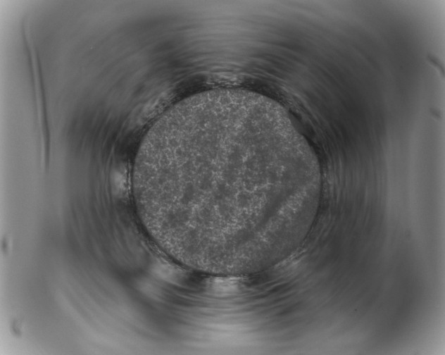 X0000102460134200809051318