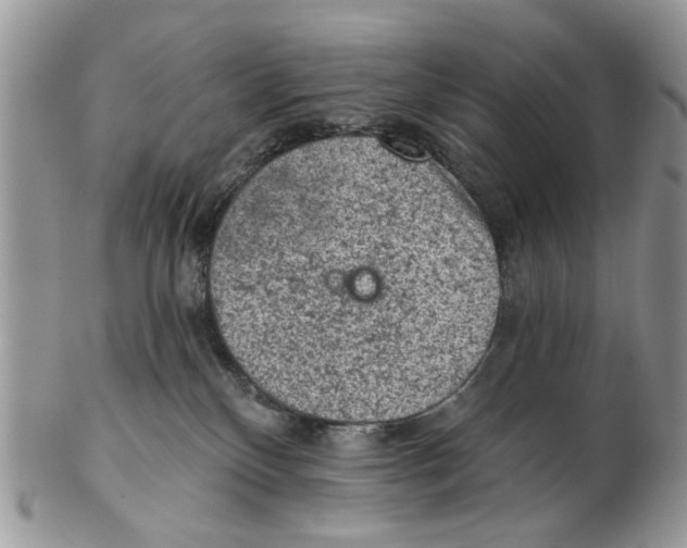 X0000102460136200809051318
