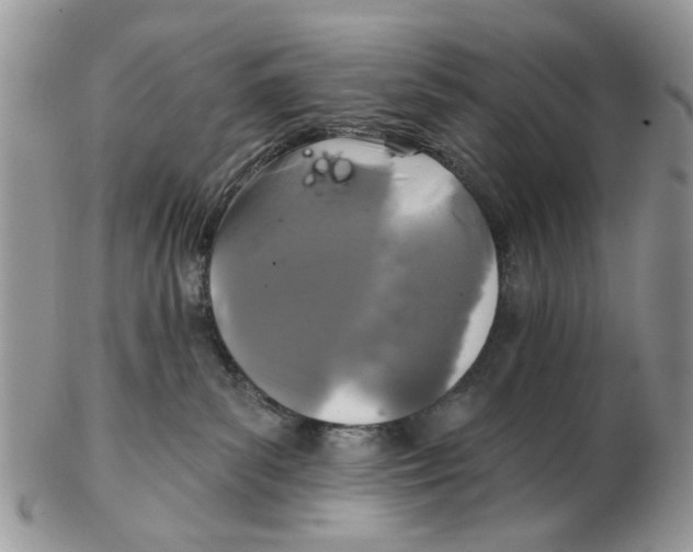 X0000102460139200809051318