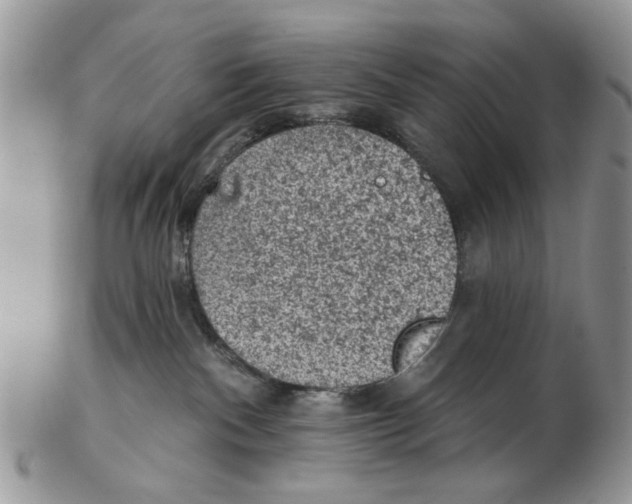 X0000102460140200809051318