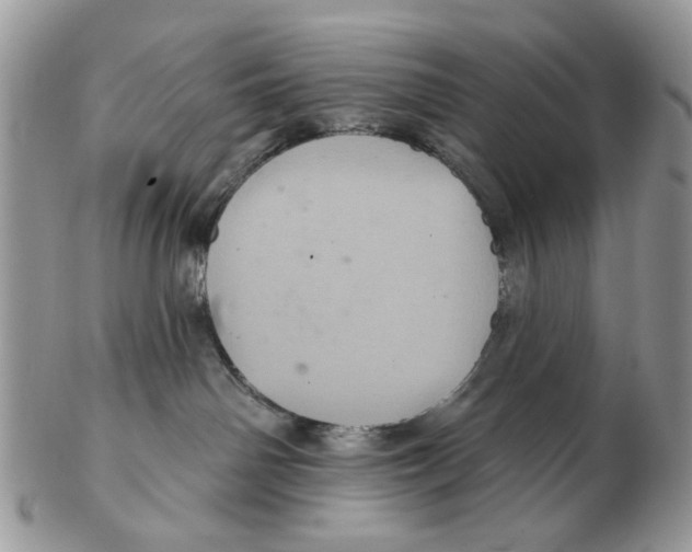 X0000102460142200809051318