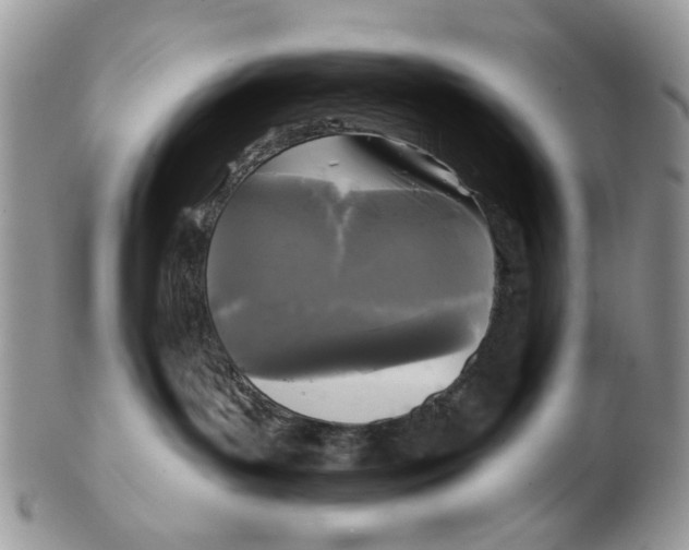 X0000102460143200809051318