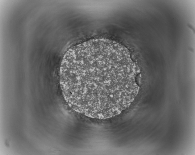 X0000102460144200809051318