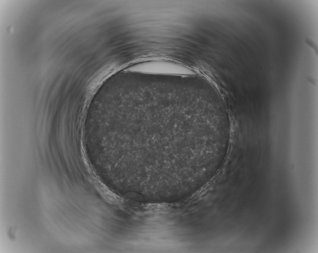 X0000102460145200809051317