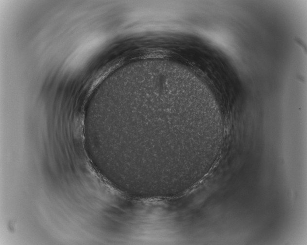 X0000102460146200809051317