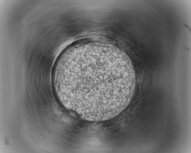 X0000102460148200809051317