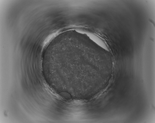 X0000102460149200809051317