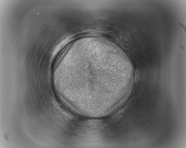 X0000102460150200809051317